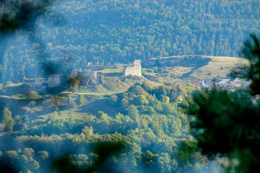 View to the castle of Bopfingen with forest in Germany in Summer
