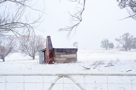 Ramshackle rustic timber shack with metal chimney of rusting red patinas and corrugated iron roof covered with a layer of snow and frozen icicles dripping from it sits in a bleak snow covered field during winter.