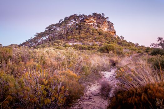 The pinnacles as they appear rising up out of the ridge line in the dusk light of evening with cool hues of blue and pink from the remaining ambient light. The path is mostly heathland punctuated with low forest areas. It is part of Darug country near Leura