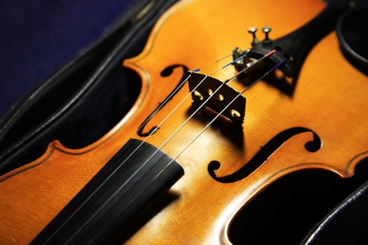 1937 old violin close up