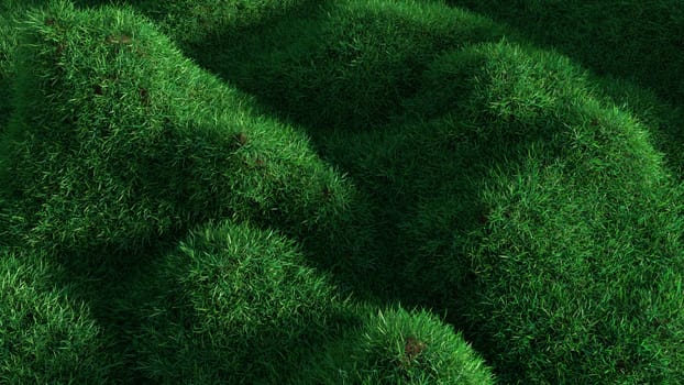 Green grass growing on hills. Top view. 3d rendering