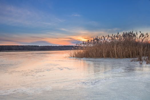 Winter paysage landscape of sunset evening iced frozen lake river and dry canes