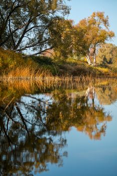 View on autumn landscape of river and trees in sunny day. Forest on river coast in autumn day. Reflection of autumn trees in water. Trees with orange, green and yellow leaves near the river Memele. Autumn in Latvia. Autumn landscape with colorful trees and reflection in river. 