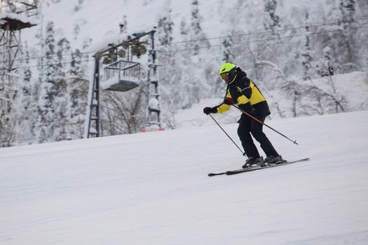 Professional alpine skier skiing downhill at arctic polar alomale Salma resort Russia