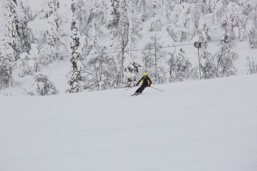 Professional alpine skier skiing downhill at arctic polar alomale Salma resort Russia