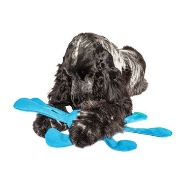 Cocker spaniel playing with a blue plush toy
