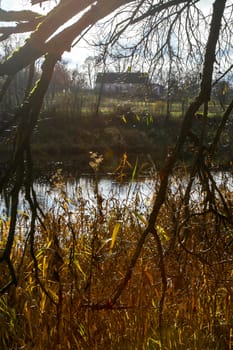 View on autumn landscape of river and grass in sunny day. Grass on river coast in autumn day. Reflection in water. Autumn in Latvia. Autumn landscape with colorful trees and river. 