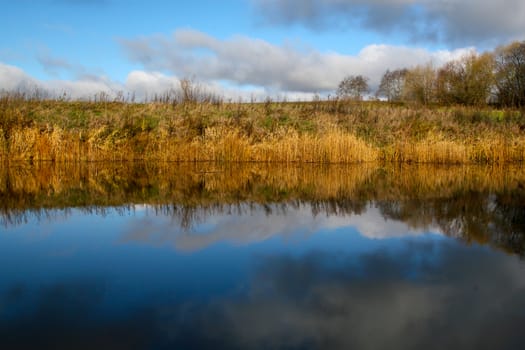 View on autumn landscape of river and trees in sunny day.Grass on river coast in autumn day. Reflection of autumn trees in water. Autumn in Latvia. Autumn landscape with colorful trees and river. 