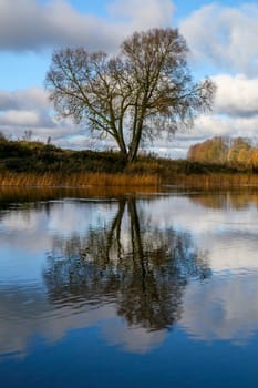 View on autumn landscape of river and trees in sunny day. Forest on river coast in autumn day. Reflection of autumn trees in water. Autumn in Latvia. Autumn landscape with colorful trees, yellow grass and river. 