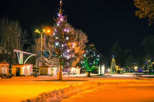 The largest artificial skating rink in the far East of Russia. At night. Many Christmas trees decorated with bright lights.