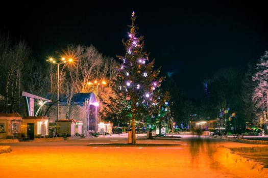 The largest artificial skating rink in the far East of Russia. At night. Many Christmas trees decorated with bright lights.