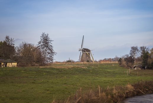 windmill and farm fields with a horse on the grass in the area of rotterdam in the netherlands