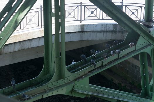 The supporting framework of the Wuppertal suspension railway.
On the steel girder pigeons which all pollute.