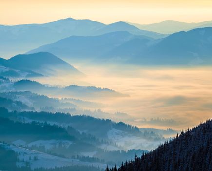 Blue mountain ranges. Valley in the clouds. Morning sunlight Ukrainian Carpathian Mountains