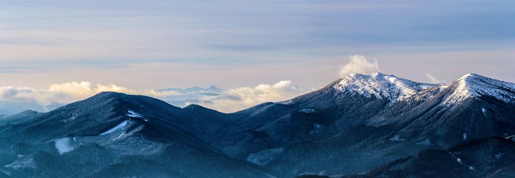 Distant peaks in morning light. Blue mountain ranges covered with trees. Ukrainian Carpathian Mountains