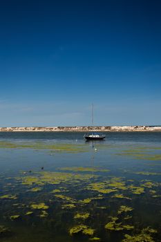 Anchor sailboat in a protected bay with algea