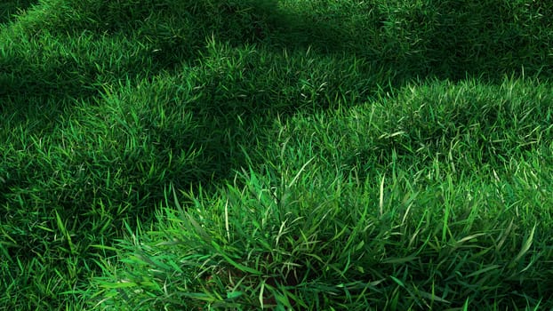 Green grass growing on hills. Top view. 3d rendering