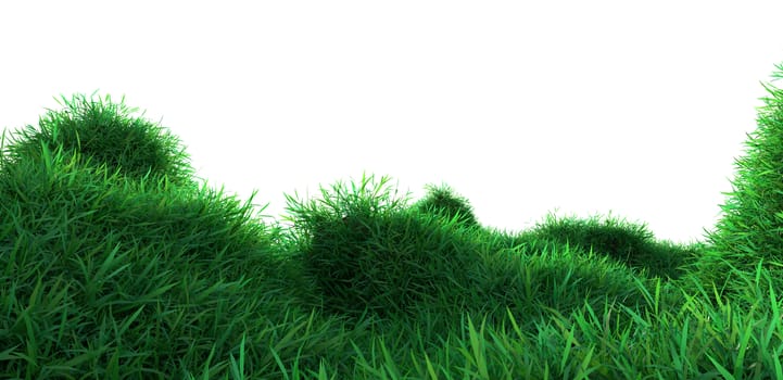 Green grass growing on hills with white background. 3d rendering