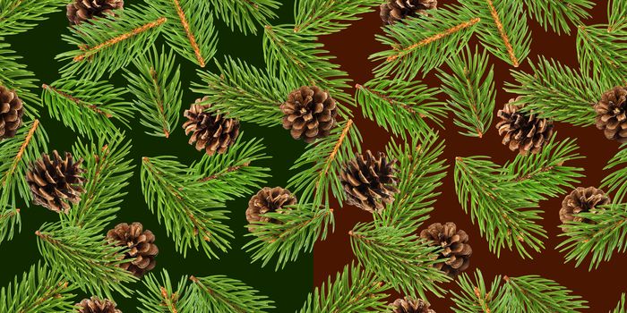 Fir tree branches seamless pattern, pine branch, Christmas conifer background, New Year winter pattern