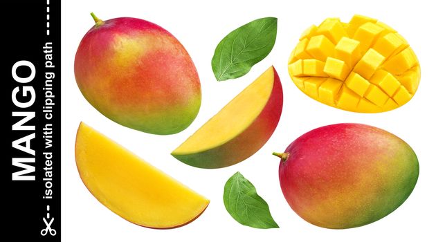 Mango collection isolated on white background with clipping path