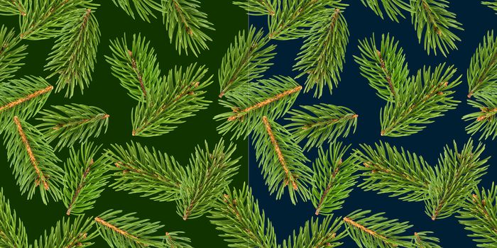 Fir tree branches seamless pattern, pine branch, Christmas conifer isolated on green background, New Year winter pattern