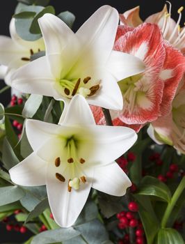 bouquet of flowers with white lily and red amaryllis and red bellies on a black background