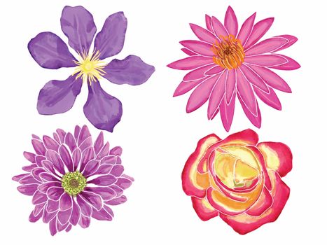 Hand-drawn Watercolor illustration set with flowers clematis, lotus, rose, dahlia. 