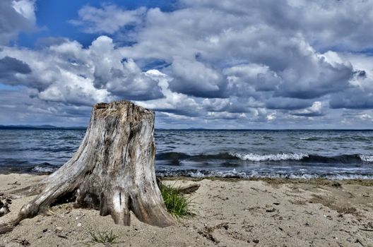 old wood stump on the lake, on the background of cloudy sky, South Ural, Uvildy, in the distance are seen the Ural mountains