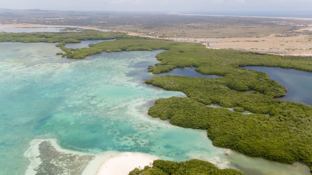 sea beach coast Bonaire island Caribbean sea aerial drone top view