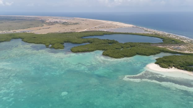 sea beach coast Bonaire island Caribbean sea aerial drone top view