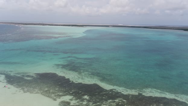 sea beach coast Bonaire island Caribbean sea aerial drone top view