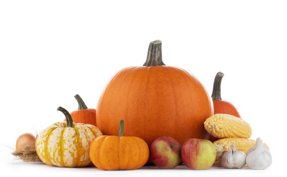 Autumn harvest still life with pumpkins , wheat ears , apples , garlic , onion isolated on wooden background