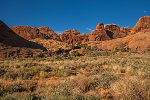 Landscape in the Devil's Garden area of Arches National Park.