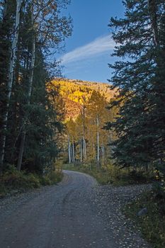 The road from Oowah Lake campsite in the Manti-La Sal National Forest. Utah. USA