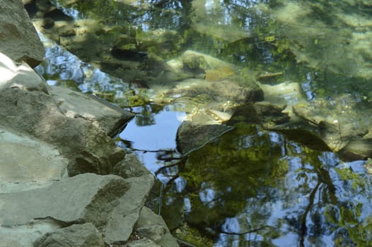 Overgrown with silt and moss stones can be seen through the green water of the pond in the overgrown Park, summer Sunny day.