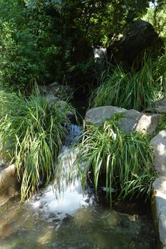 The stream cascades into a pond among green plants, a cozy landscape for relaxation and meditation in the Park.