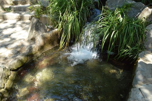 The stream cascades into a pond among green plants, a cozy landscape for relaxation and meditation in the Park.