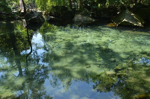 Abstract trees, sky, stones are reflected in the ripples of the water surface, through the clear water you can see the bottom of the pond.