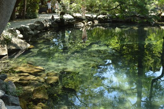 Abstract figure of a woman standing on the shore of the pond, reflected on the surface of the water, the reflection of trees, stones, sky.