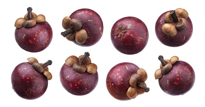 Mangosteen isolated on white background with clipping path, collection