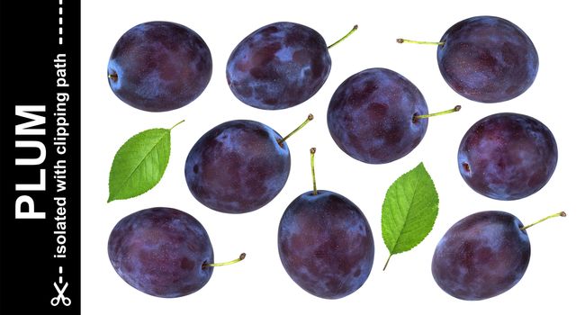 Plums isolated on white background with clipping path, collection
