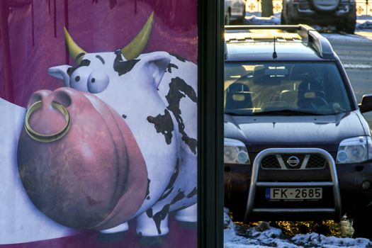 Advertising billboard with bull on the street in Riga, Latvia. Behind the advertising billboard is car. 
