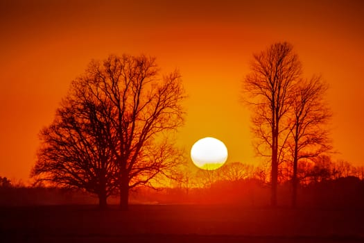 Silhouette of trees in sunset. Trees at sunset. Beautiful spring landscape in Latvia. Beautiful landcape of trees with sunset twilight background. Red orange light on sunset sky over the trees. 