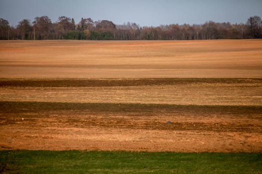 Spring landscape with plowed field. Plowed cereal field in spring. Classic rural landscape in Latvia. Plowed field in spring season.