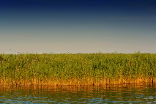 National Park Vorpommersche Boddenlandschaft on Fischland at the Baltic resort Ahrenshoop in Germany