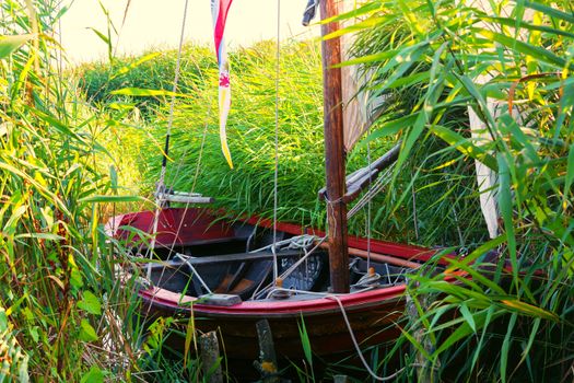 Wooden boat on the shore of a lake in the reeds              