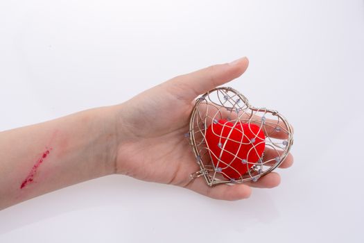 Red heart in a heart shaped cage