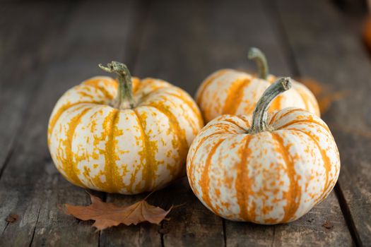 Three striped yellow pumpkins and dry autumn leaves on old wooden background , Halloween concept