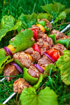 Prepering of Asian traditional food