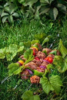 Prepering of Asian traditional food
